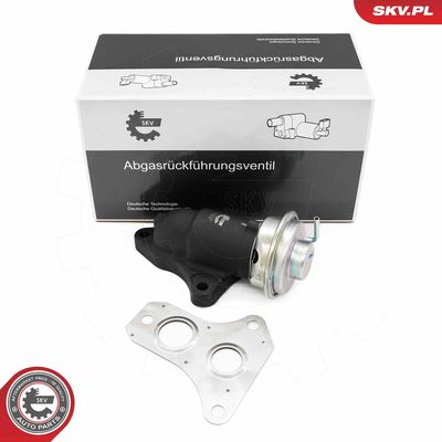Клапан возврата ОГ ESEN SKV 14SKV263