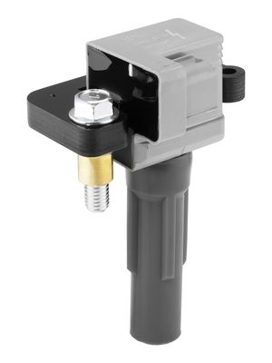 Катушка зажигания BorgWarner (BERU) ZSE313