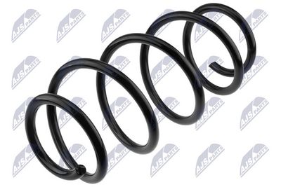 Пружина ходовой части NTY ASZ-RE-049