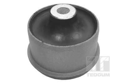 Piekare, Šķērssvira TEDGUM 00724903