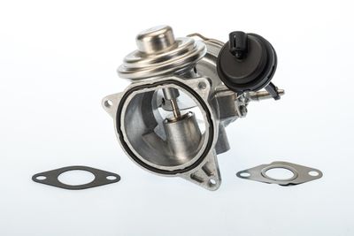 Izpl. gāzu recirkulācijas vārsts BorgWarner 7650D