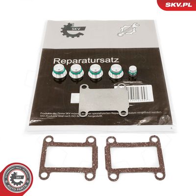 Ремкомплект, модуль впускного коллектора ESEN SKV 49SKV525