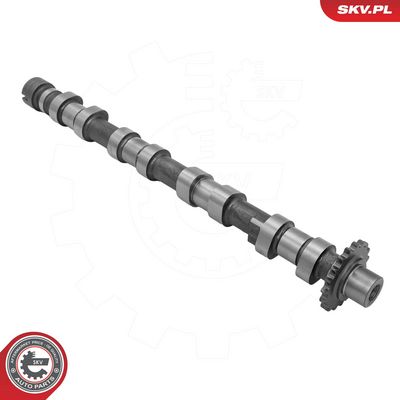Sadales vārpsta ESEN SKV 80SKV073