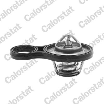 Termostats, Dzesēšanas šķidrums CALORSTAT by Vernet TH6843.91J