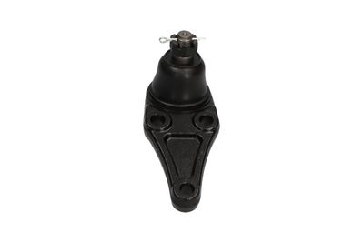 Balst-/Virzošais šarnīrs KAVO PARTS SBJ-5527
