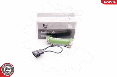 Сопротивление, вентилятор салона ESEN SKV 94SKV033