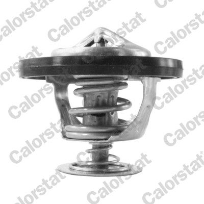Termostats, Dzesēšanas šķidrums CALORSTAT by Vernet TH7217.95J