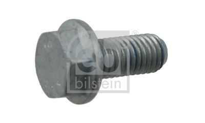 Skrūve FEBI BILSTEIN 02102
