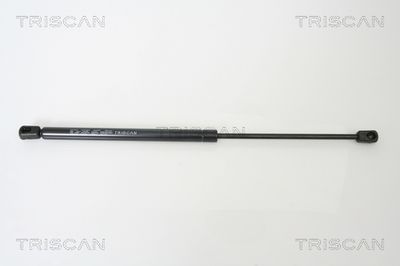 Gāzes atspere, Bagāžas/Kravas nodalījuma vāks TRISCAN 8710 16239
