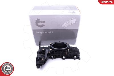 Ieplūdes caurules modulis ESEN SKV 49SKV014