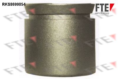 Virzulis, Bremžu suports FTE 9313508