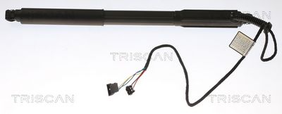 Gāzes atspere, Bagāžas/Kravas nodalījuma vāks TRISCAN 871011303