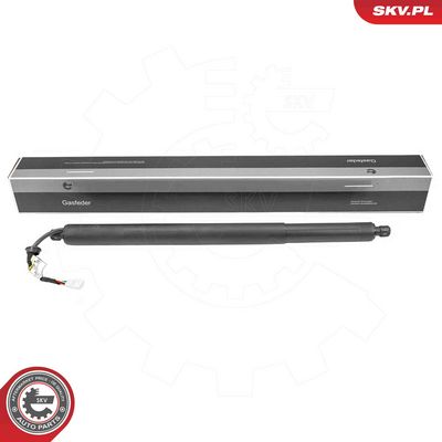 Электромотор, задняя дверь ESEN SKV 52SKV176