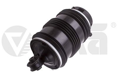 Pneimoatspere, Balstiekārta vika 59834601