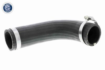 Pūtes sistēmas gaisa caurule VAICO V25-0987