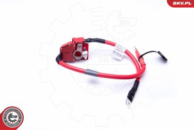 Akumulatoru baterijas adapteris ESEN SKV 96SKV303