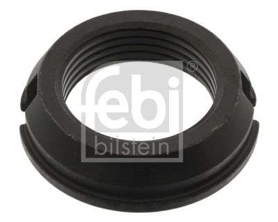 Uzgrieznis, ieejas vārpsta (diferenciālis) FEBI BILSTEIN 49710