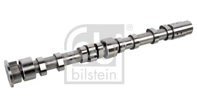 Sadales vārpsta FEBI BILSTEIN 176005