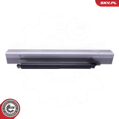 Электромотор, задняя дверь ESEN SKV 52SKV962