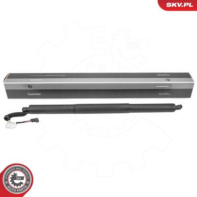 Электромотор, задняя дверь ESEN SKV 52SKV975