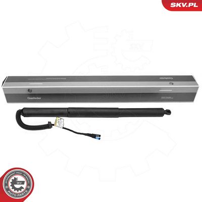 Электромотор, задняя дверь ESEN SKV 52SKV999
