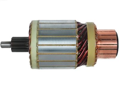 AS-PL SA3013 Enkurs, Starteris