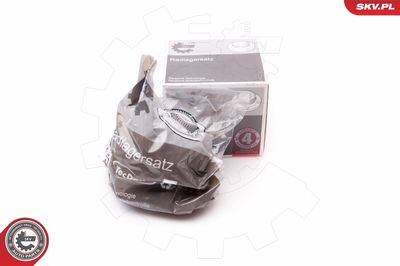 Комплект подшипника ступицы колеса ESEN SKV 29SKV204