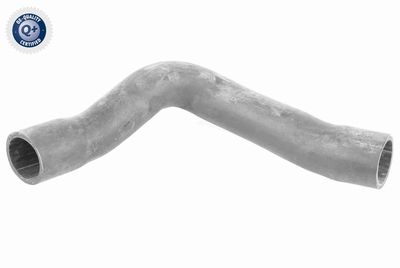 Pūtes sistēmas gaisa caurule VAICO V10-2909