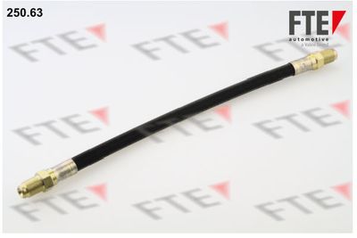 Тормозной шланг FTE 9741088