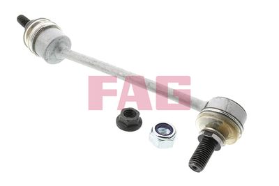 Stabilisaator,Stabilisaator Schaeffler FAG 818 0079 10
