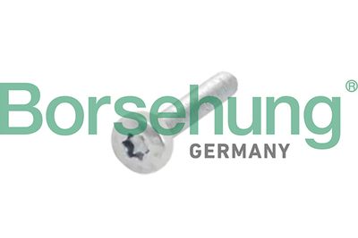 Болт, шестерня - распределительный вал BORSEHUNG B10634