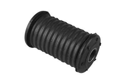 Piekare, Lokšņu atspere TEDGUM 00587372