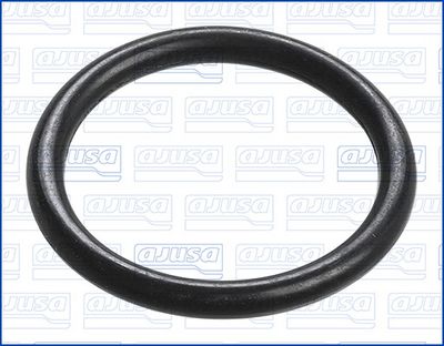 Blīve, Termostats AJUSA 16084900