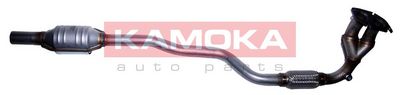 Катализатор KAMOKA 8015058