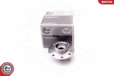 Комплект подшипника ступицы колеса ESEN SKV 29SKV159