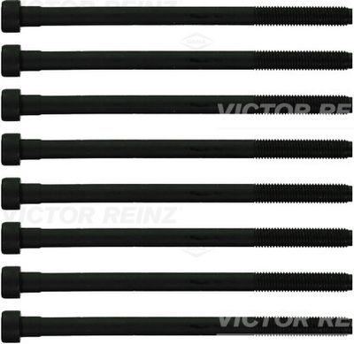 Комплект болтов головки цилидра VICTOR REINZ 14-10276-02