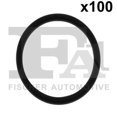 Уплотнительное кольцо FA1 076.379.100
