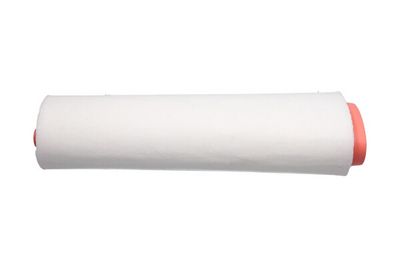 Воздушный фильтр KAVO PARTS FAF-10221