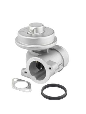 Izpl. gāzu recirkulācijas vārsts BorgWarner 712052D