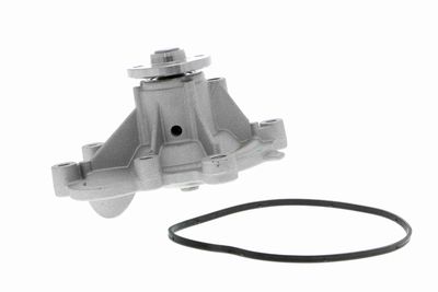 Ūdens sūknis, dzinēja dzesēšana VAICO V30-50053