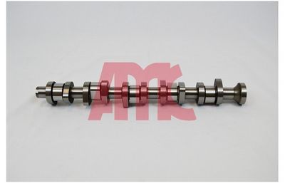 Sadales vārpsta AMC 668882