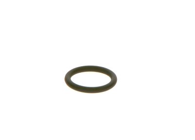 BOSCH F00RJ01605 Gumijas gredzens