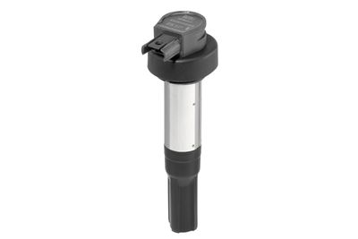 Aizdedzes spole BorgWarner (BERU) ZSE227