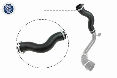 Трубка нагнетаемого воздуха VAICO V25-1030