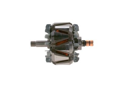 Rotors, Ģenerators BOSCH F 00M 131 646