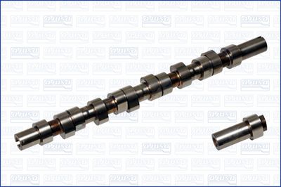 Sadales vārpsta AJUSA 93051700
