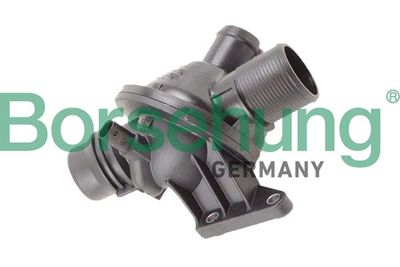 Termostats, Dzesēšanas šķidrums Borsehung B10562