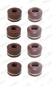 Blīvju komplekts, Vārsta kāts PAYEN HR756