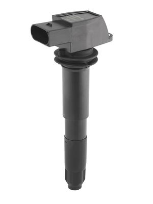 Aizdedzes spole BorgWarner (BERU) ZSE012
