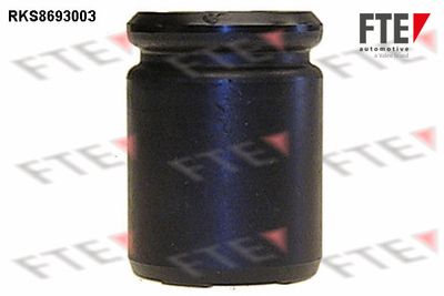 Virzulis, Bremžu suports FTE 9313470